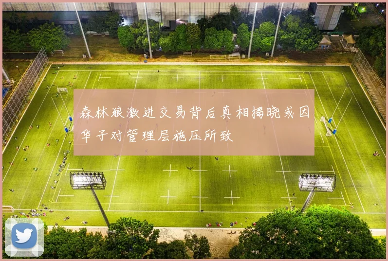森林狼激进交易背后真相揭晓或因华子对管理层施压所致
