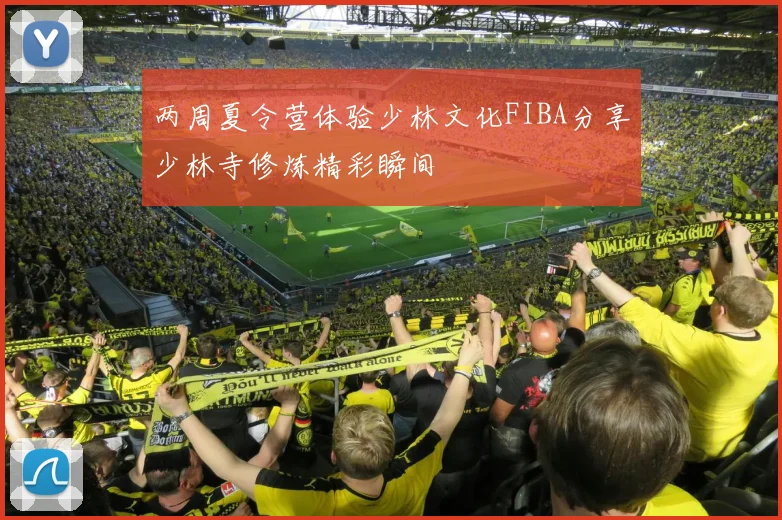 两周夏令营体验少林文化FIBA分享少林寺修炼精彩瞬间